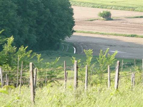 Manutenzione delle strade di campagna, argini e fossi .